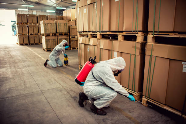 Best Wildlife Control Services  in Coats, NC