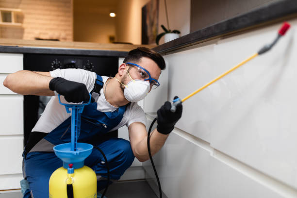 Flea Control Services in Coats, NC