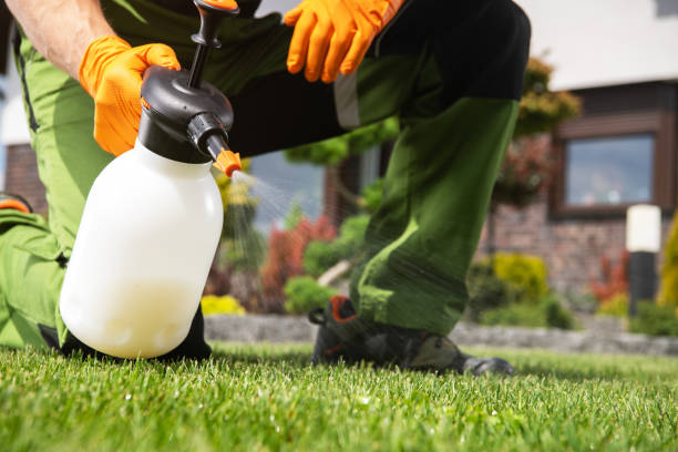 Bird Control in Coats, NC
