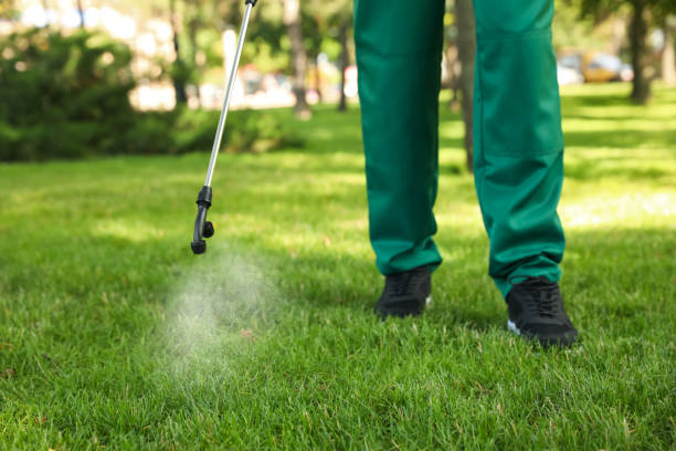 Best Affordable Pest Control Services  in Coats, NC