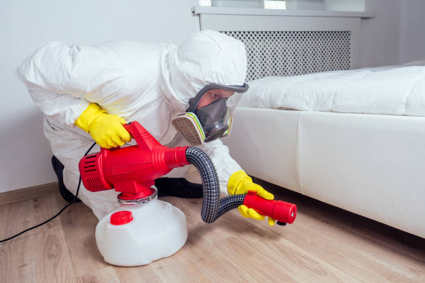 Best Cockroach Control Services  in Coats, NC