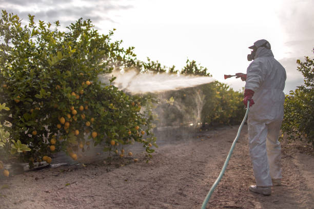 Best Insect Control  in Coats, NC