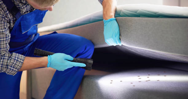 Reliable Coats, NC Pest Control Solutions