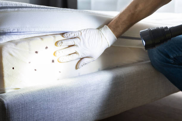 Pest Control for Restaurants in Coats, NC