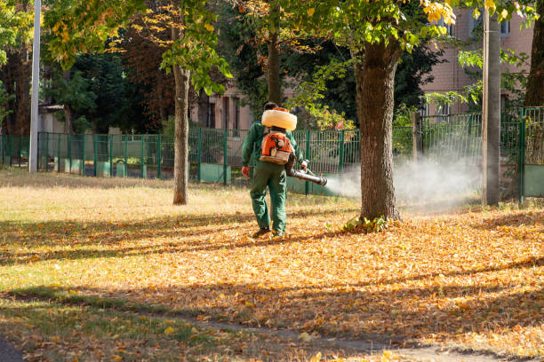 Best Pest Removal Services  in Coats, NC