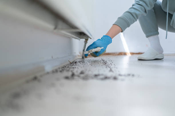 Best Pest Inspection Near Me  in Coats, NC
