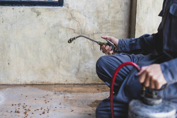 Best Termite Control Services  in Coats, NC