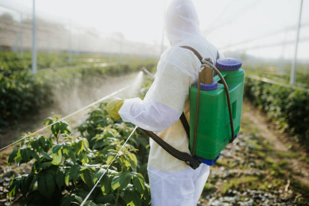 Best Emergency Pest Control  in Coats, NC